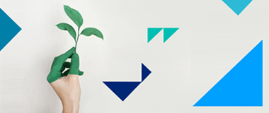 Net Zero | Green economy Net Zero | Green economy